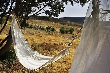Cortijo Malenos 尼哈尔